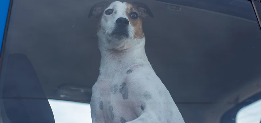 Car Lockout Solutions in Palm Springs, California